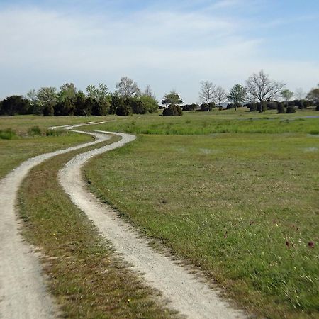1A, Stuga Med 50M Till Strand Byxelkrok Exterior foto